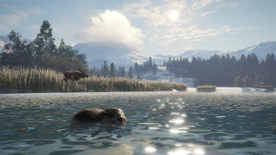 TheHunter: Call of the Wild - Alberta Hunting Preserve Screenshot