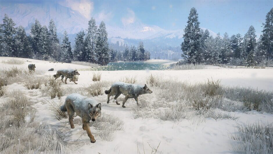 TheHunter: Call of the Wild - Alberta Hunting Preserve Screenshot