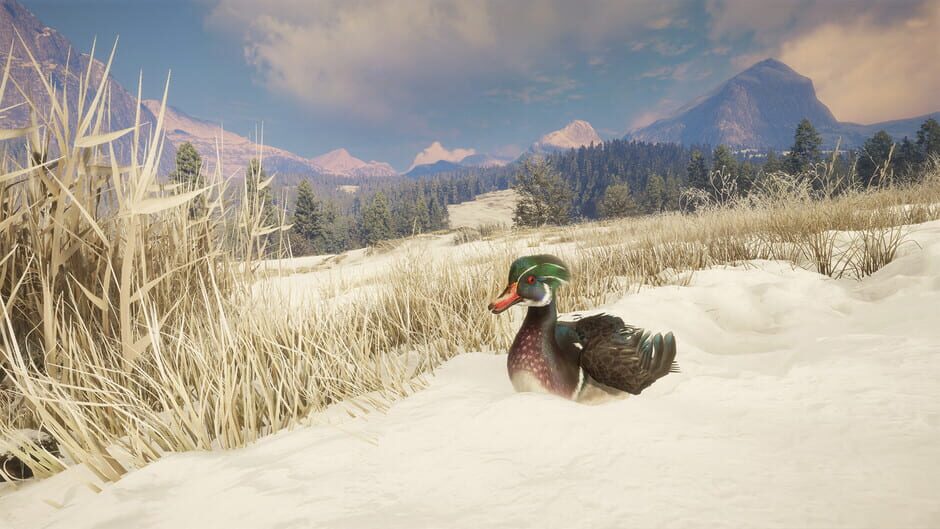 TheHunter: Call of the Wild - Alberta Hunting Preserve Screenshot