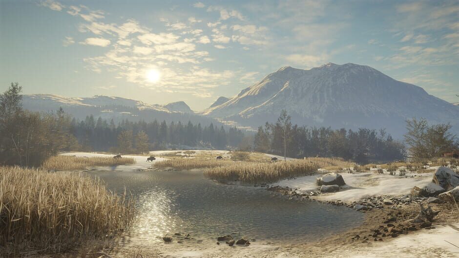 TheHunter: Call of the Wild - Alberta Hunting Preserve Screenshot