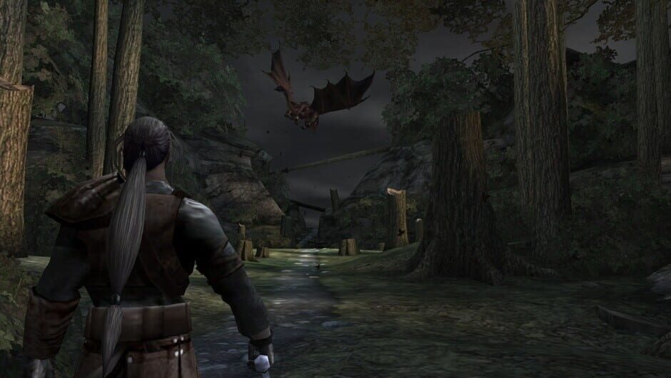 Forgotten Realms: Demon Stone Screenshot