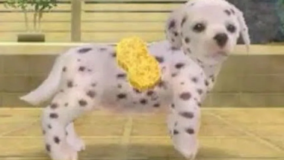 Skärmbild 5 från Nintendogs: Dalmatian & Friends