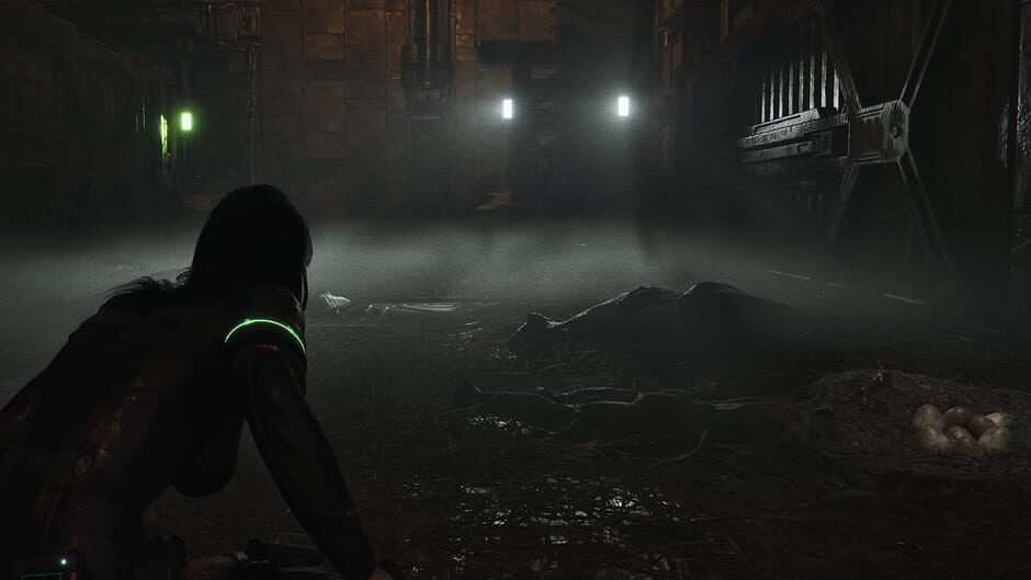 Screenshot Code Violet