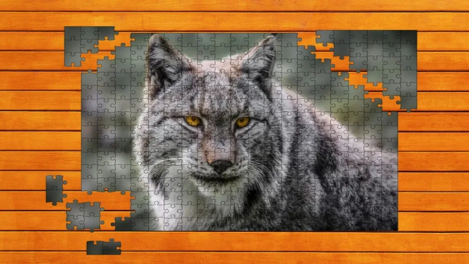 Wild Lynx Jigsaw: Expansion Pack 2
