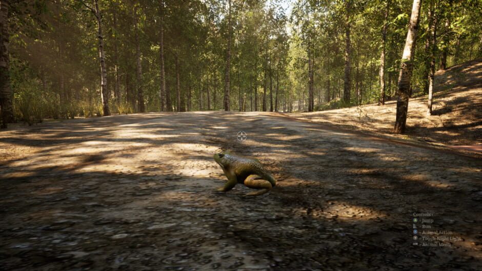 Morels: The Hunt 2 Screenshot