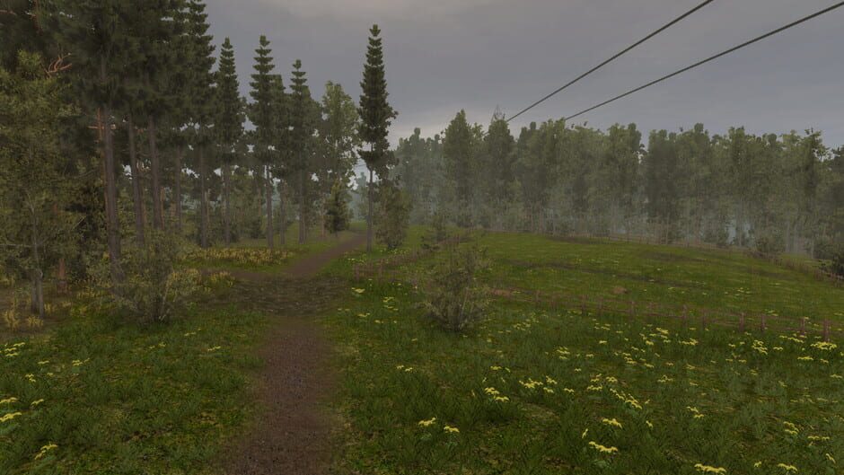 Sosnova screenshot