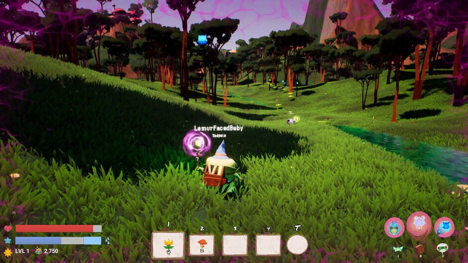 Sage screenshot 2