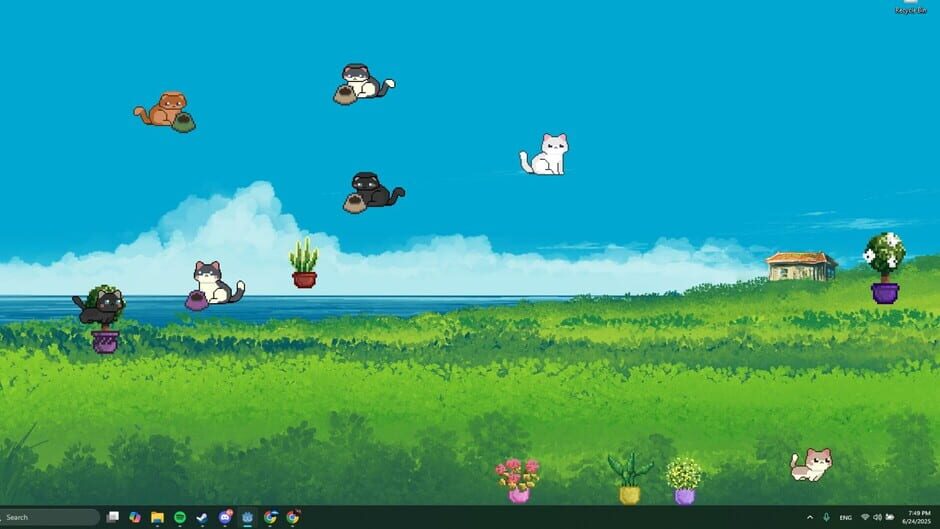 Screenshots Cuddle Corner