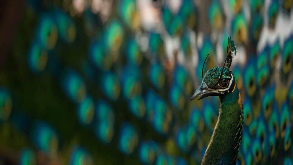 Son of Thanjai screenshot 5