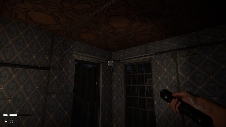 Screenshots Beyond Silence