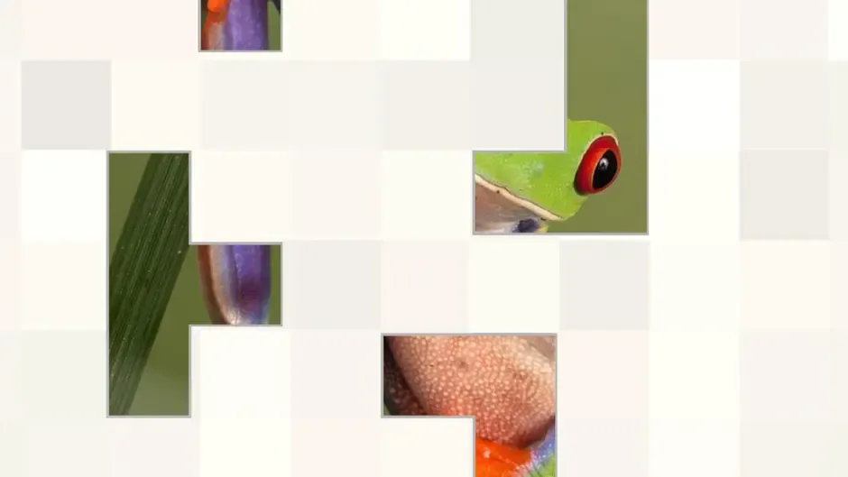 Capture d'écran de l'article