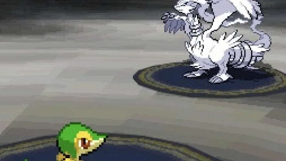 Pokémon Black Version screenshot 1630435