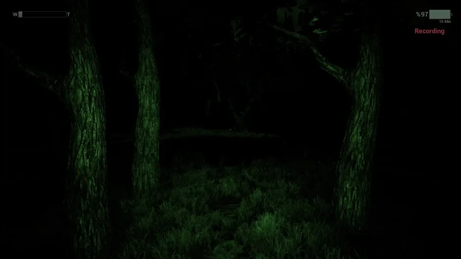 Capture d'écran de l'article