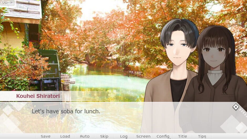 Screenshots First Steps in Learning About Pregnancy