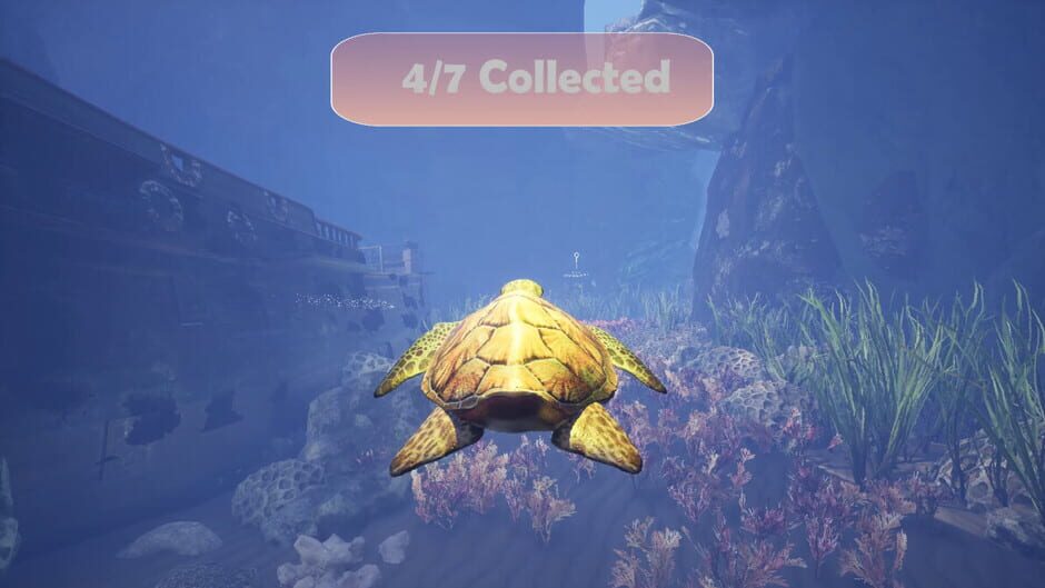 Turtle Racer screenshot