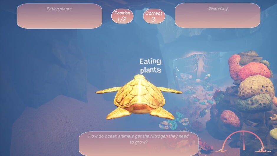 Turtle Racer screenshot