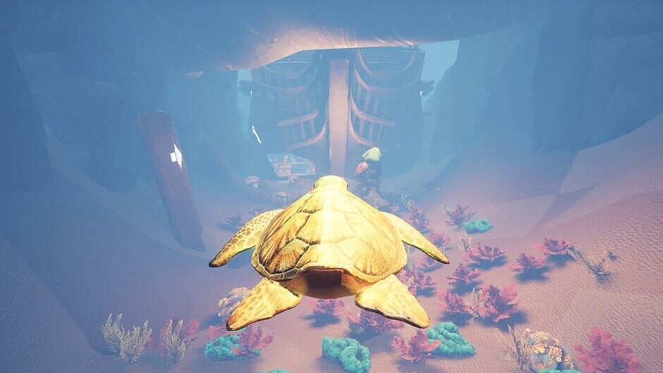 Turtle Racer screenshot