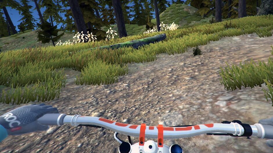 MTB Downhill Simulator Screenshot