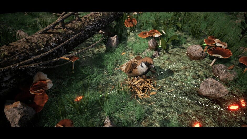 Soilborn: Ant Empire media thumbnail