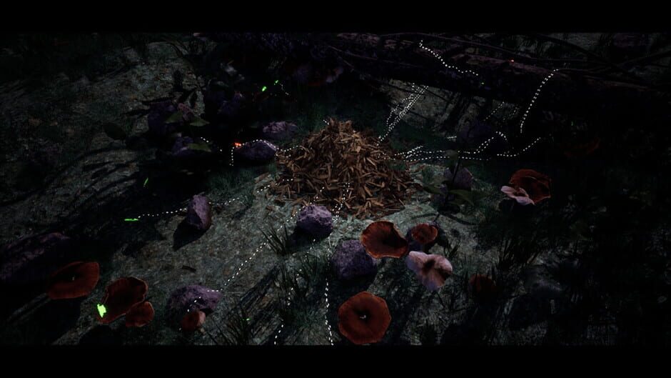 Soilborn: Ant Empire media thumbnail