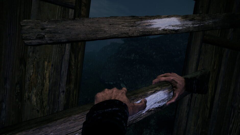 Screenshots FYR: The Lost Island