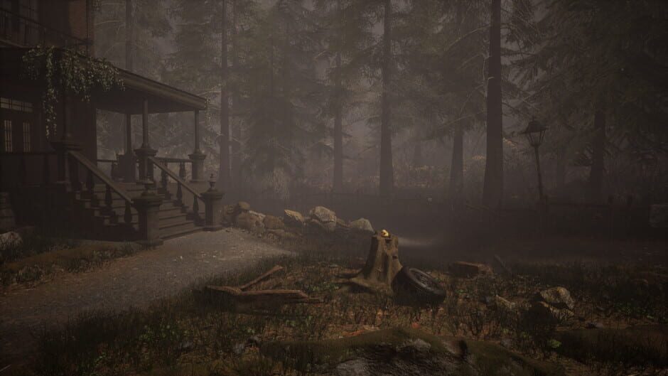 Coincidences?-reviewed-cover