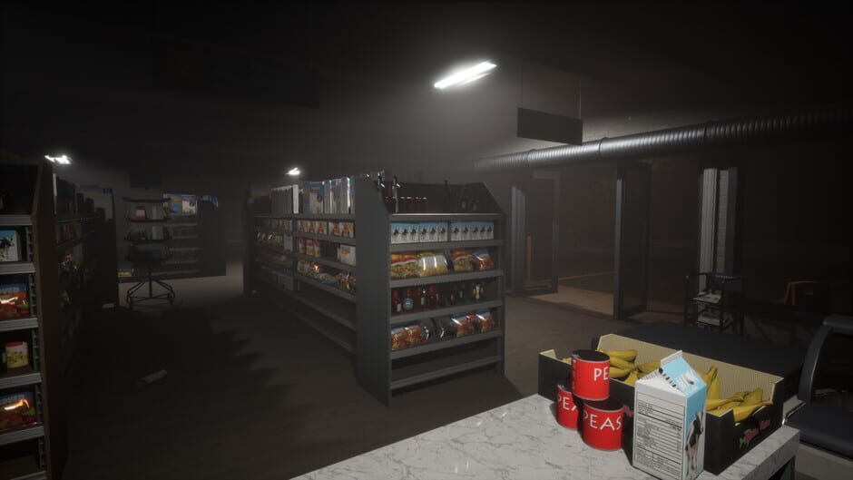 Coincidences?-reviewed-cover