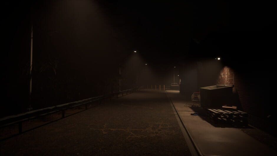 Coincidences?-reviewed-cover