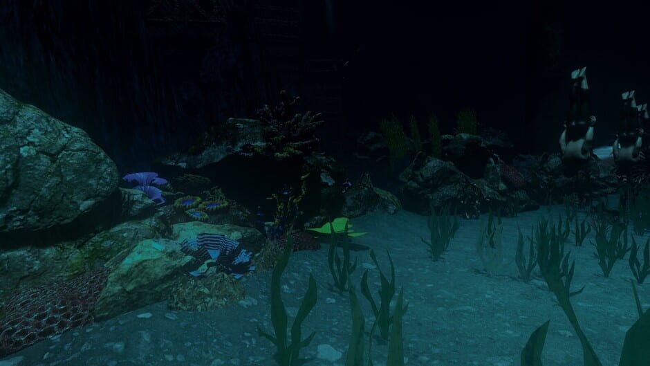 Screenshots RebreatheR