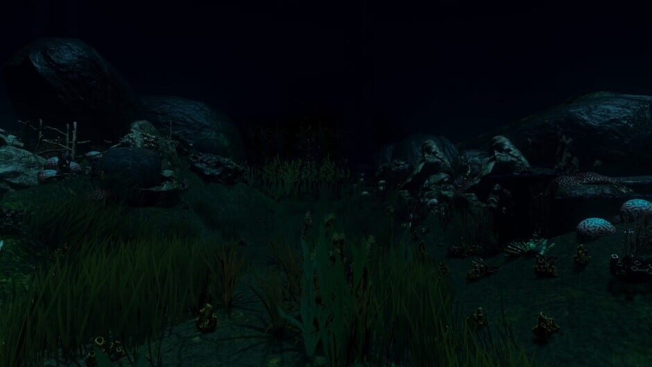 Screenshots RebreatheR