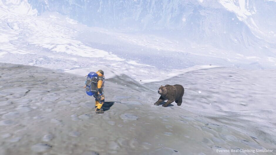 Everest: Real Climbing Simulator Screenshot