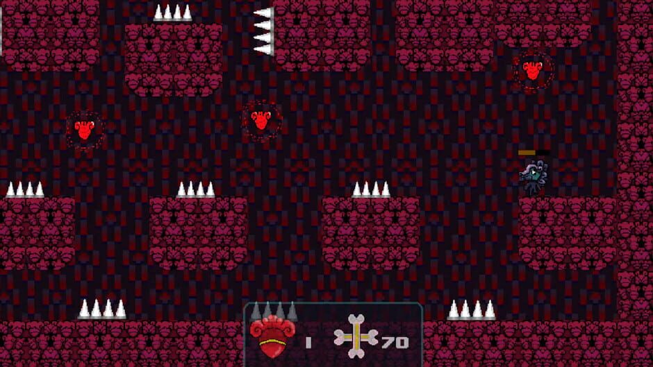 Quetzal screenshot