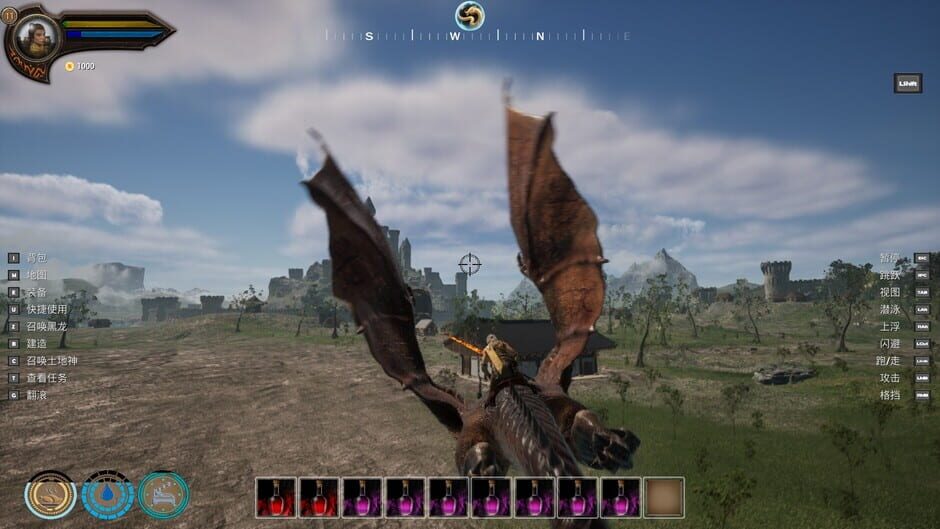 DragonRoad Screenshot