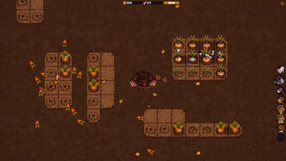 Vegemancer screenshot