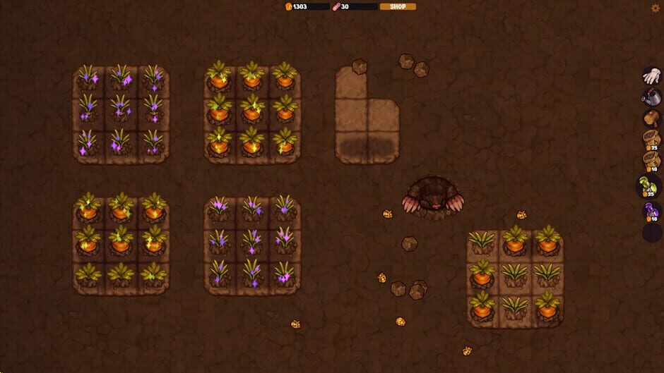Vegemancer screenshot