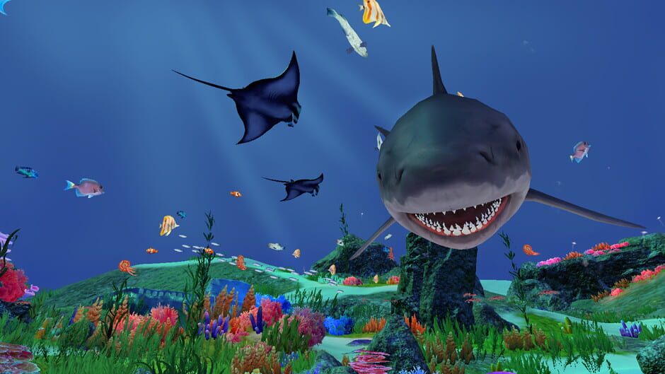 Fancy Fishing VR Screenshot