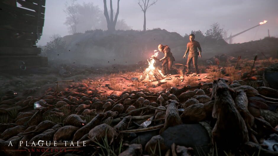 a plague tale innocence xbox store