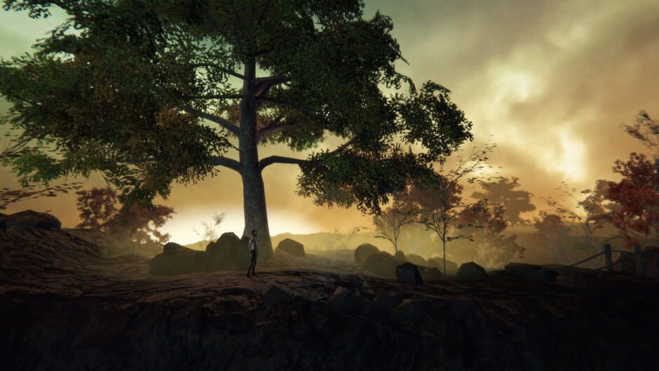 Adele: Following the Signs Screenshot