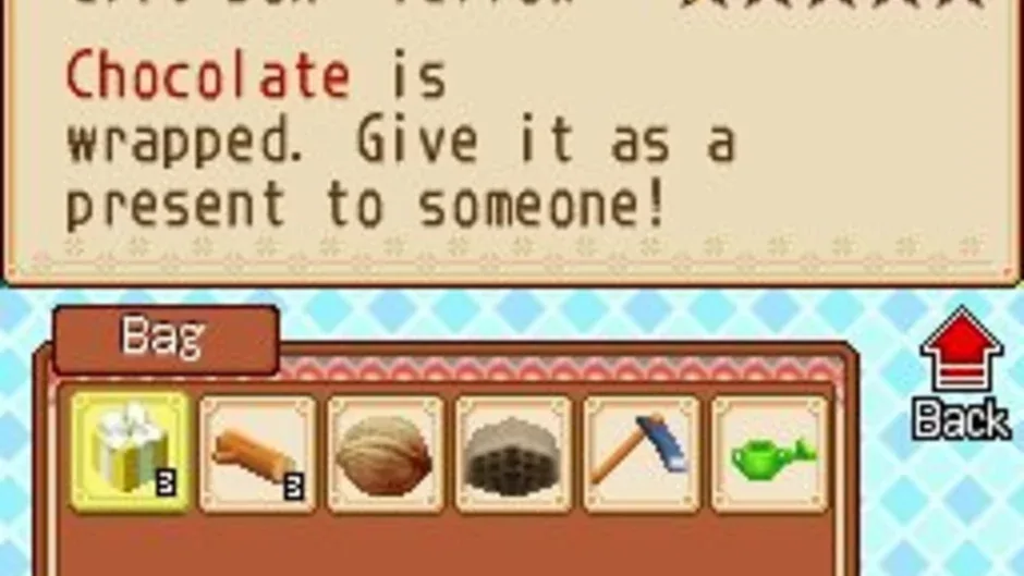 Skärmbild 2 från Harvest Moon DS: Grand Bazaar