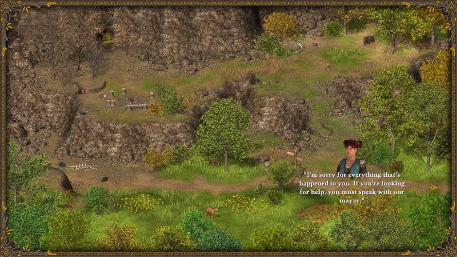 Hero of the Kingdom III Screenshot