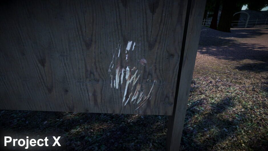 Project X Screenshot