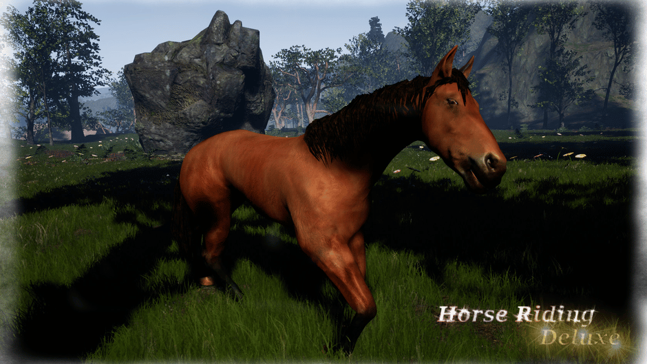 Horse Riding Deluxe Screenshot