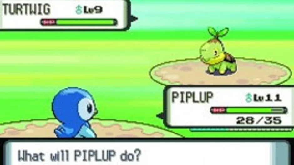 Pokémon Diamond Version screenshot 24136