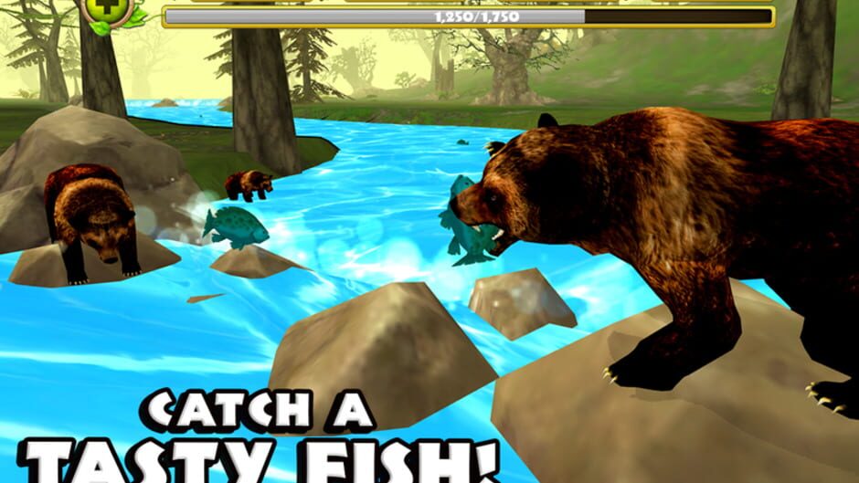Wildlife Simulator: Bear screenshot