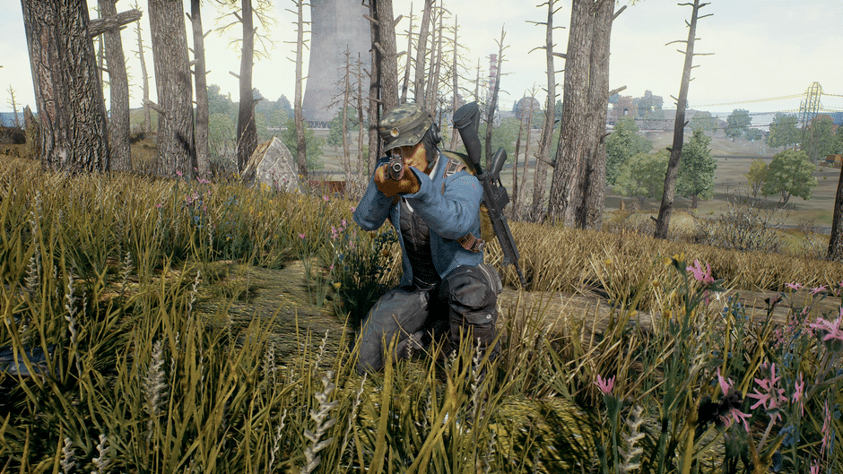 PUBG: Battlegrounds Screenshot