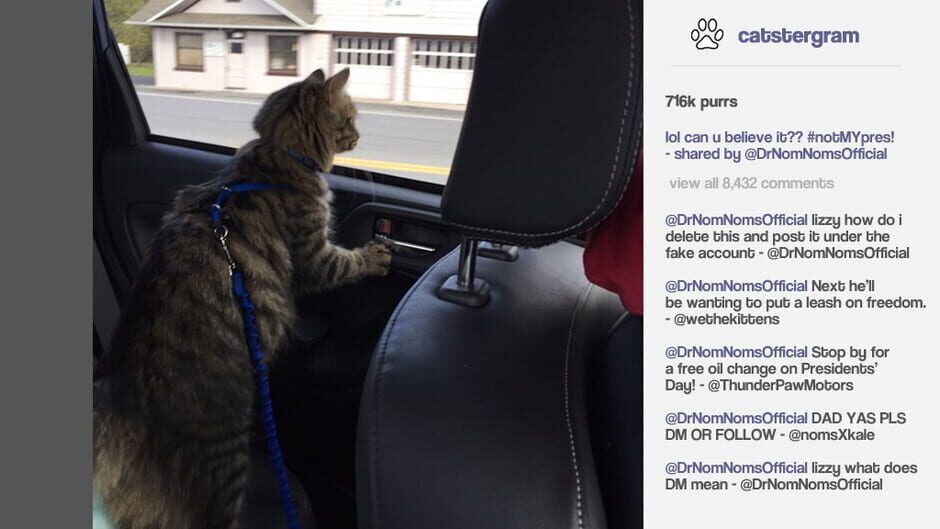 Cat President: A More Purrfect Union Screenshot