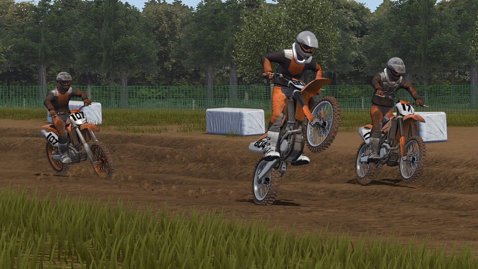 Screenshot MX Bikes