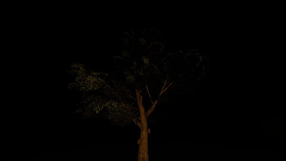 Night Sky screenshot