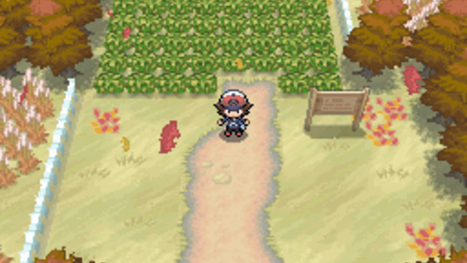 Pokémon Black Version Screenshot