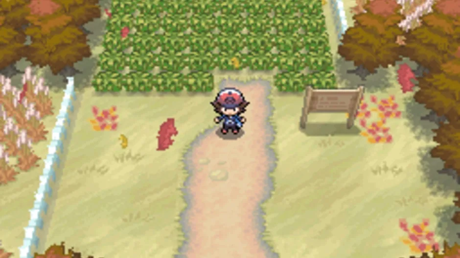 Pokémon Black Version, captura de tela 1